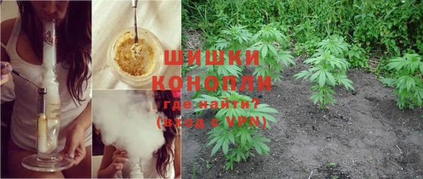молекула духа Покачи