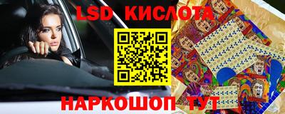 гидропоника Камышлов