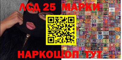 гидропоника Камышлов