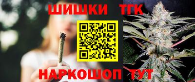 гидропоника Камышлов