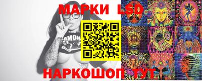 гидропоника Камышлов