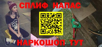 гидропоника Камышлов