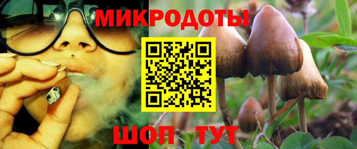 Галлюциногенные грибы мицелий  купить  сайты  Нижнекамск  Псилоцибиновые грибы Cubensis  Вход с VPN 